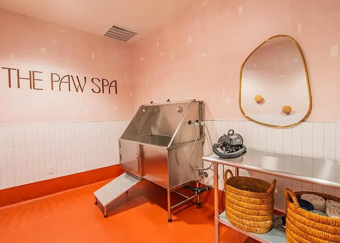 Tranquil 1br With Parking Gym Pool Apartamento Phoenix
